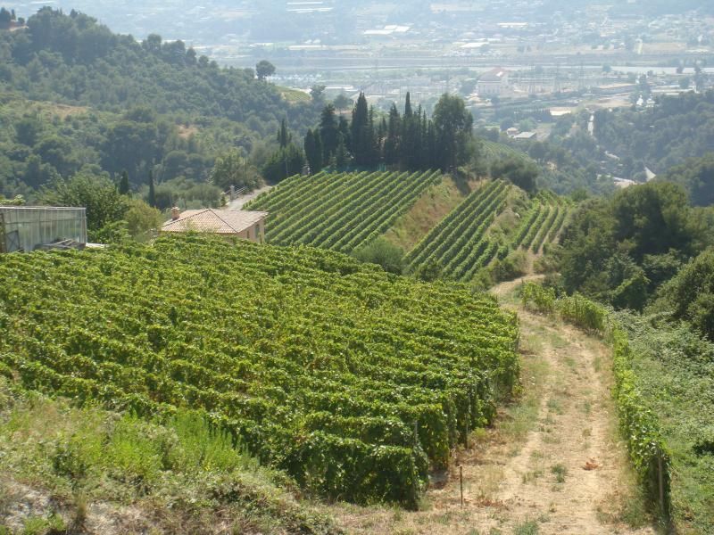 Countryside Tour in Provence From Nice - Inclusions