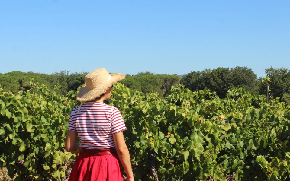 Vintage Wine Tour in Saint-Tropez - Key Points