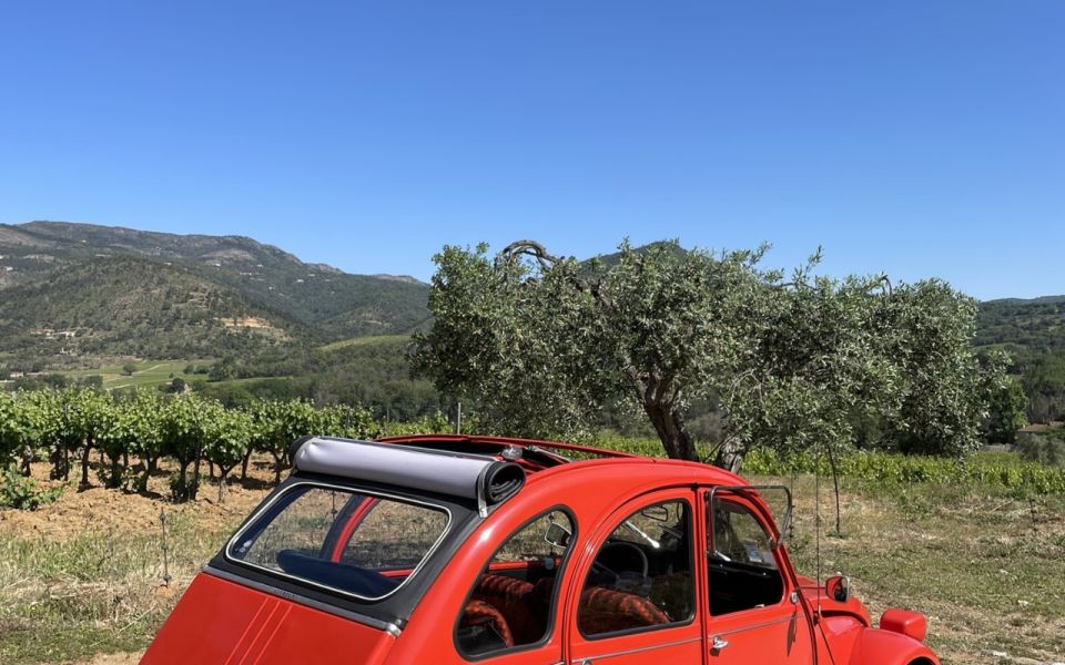 Vintage Wine Tour in Saint-Tropez - Activity Description