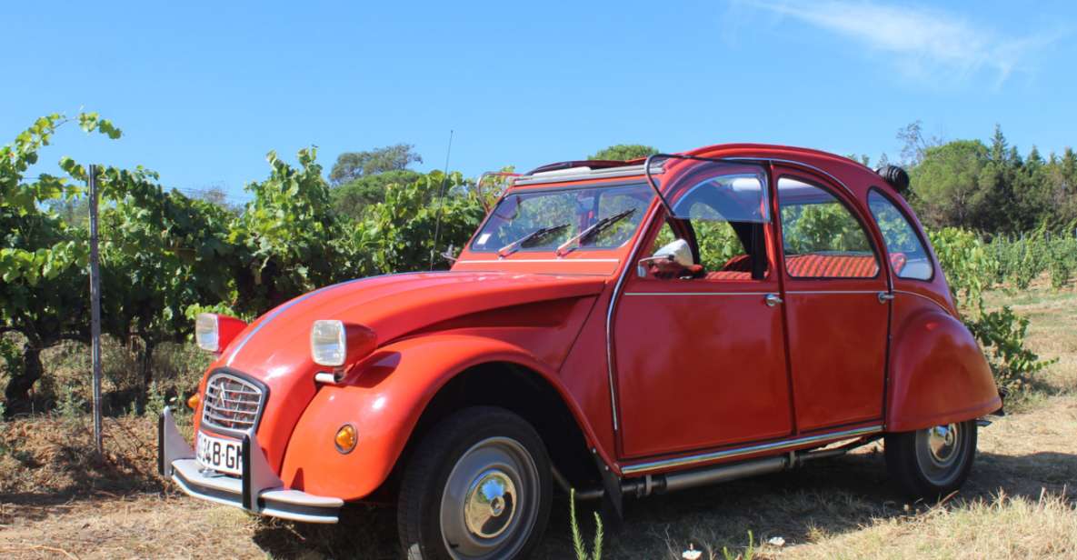 Vintage Wine Tour in Saint-Tropez - Inclusions