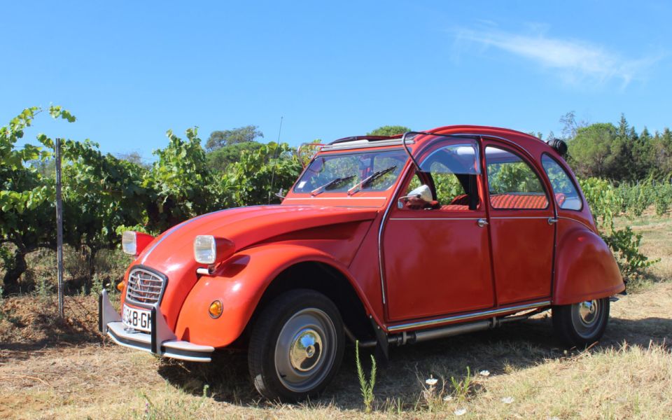 Vintage Wine Tour in Saint-Tropez - Recap