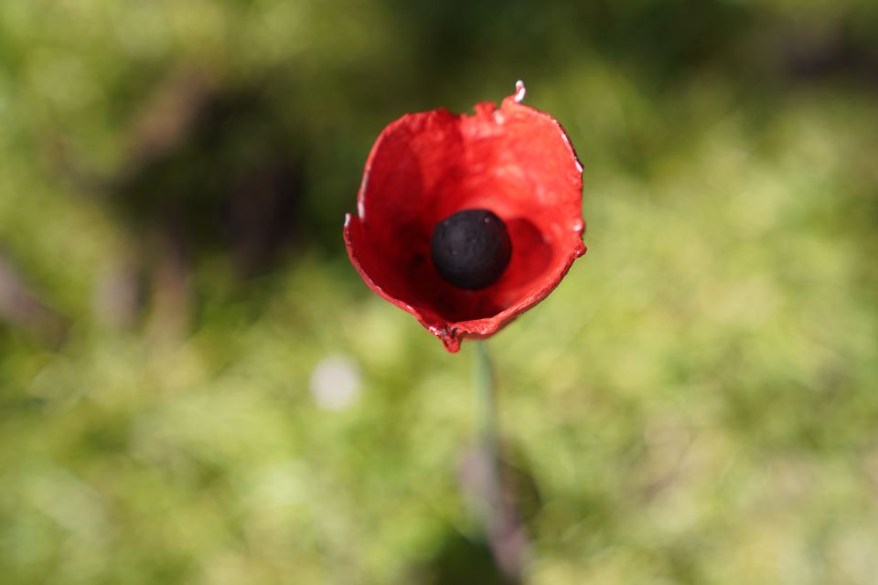 Normandy D-Day Beaches Private Canadian Sector From Bayeux - Directions