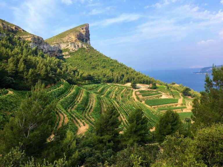 Calanques Of Cassis, the Village and Wine Tasting