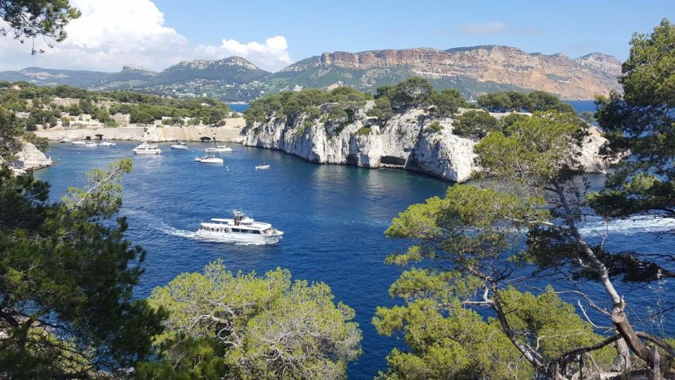 Calanques Of Cassis, the Village and Wine Tasting - Activity Highlights