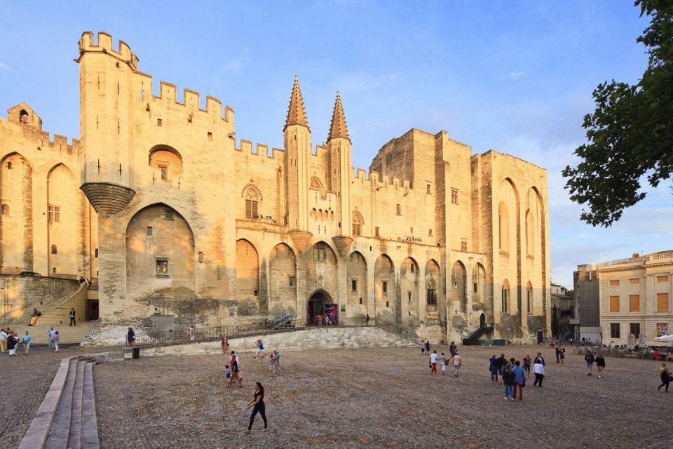 Aix En Provence and Avignon City of Popes Private Tour - Activity Description