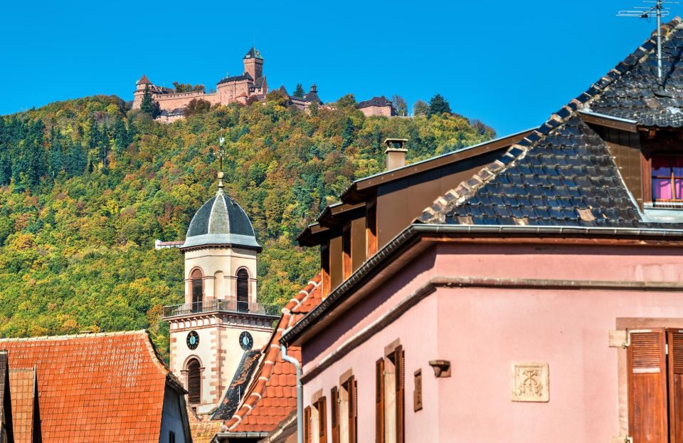 Colmar: Private Architecture Tour With a Local Expert - Language Options and Highlights