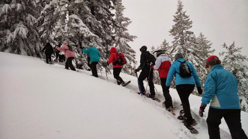 Private Snowshoeing Full Day - Experience Description