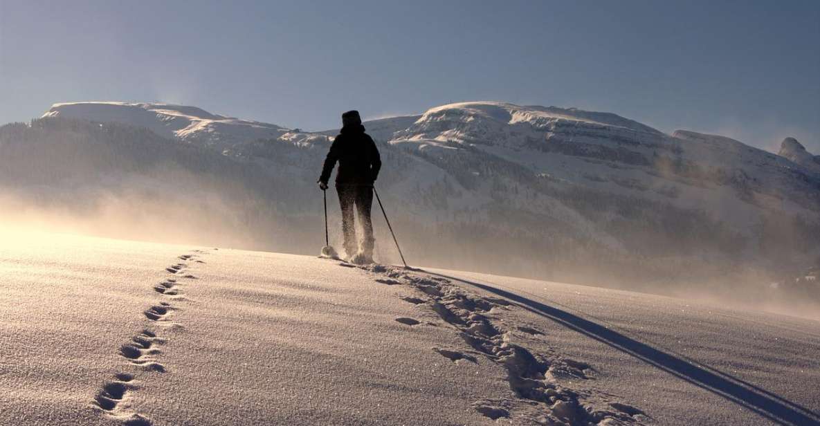 Private Snowshoeing Full Day - Booking Information