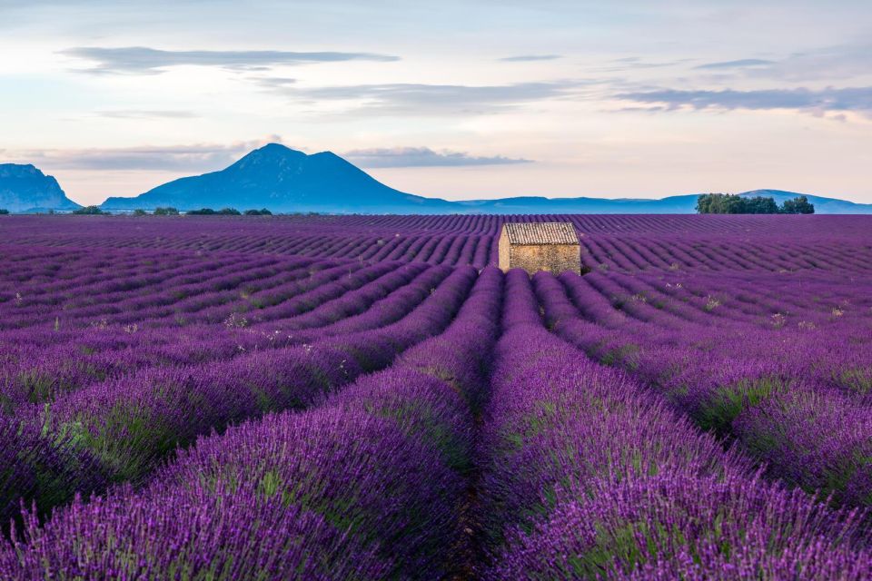 Wild Alps, Verdon Canyon, Moustiers Village, Lavender Fields - Recap