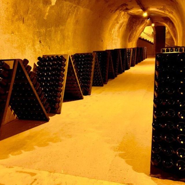 Champagne Region From Paris: Reims and Champagne Tasting - Experience