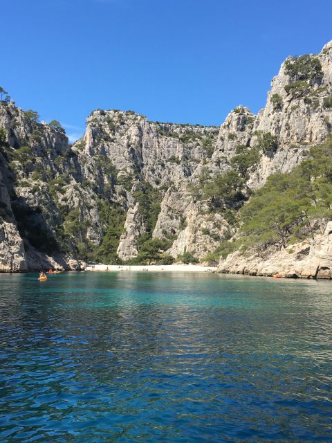 Private Tour Aix En Provence Cassis From Marseille - Highlights