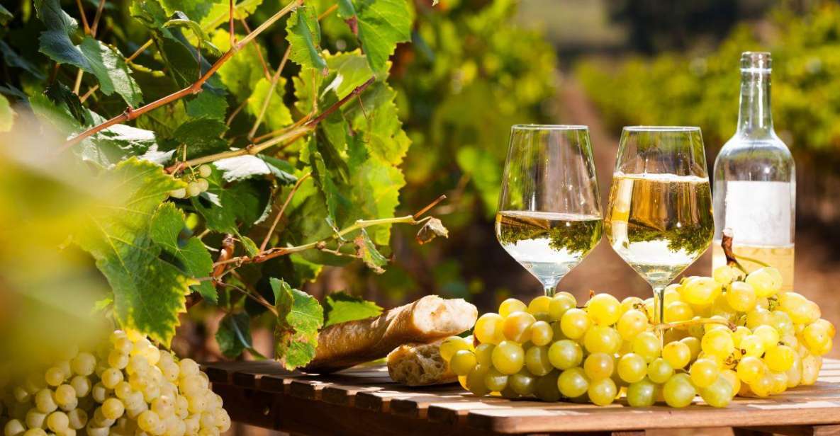 Provencal Market & Wine Tasting Full Day Tour Tour Details