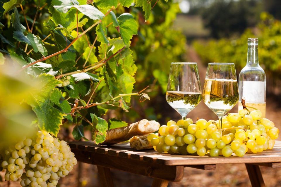 Provencal Market & Wine Tasting Full Day Tour - Key Points