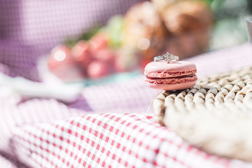 Surprise Proposal Picnic - Paris Proposal Planner - Experience Highlights