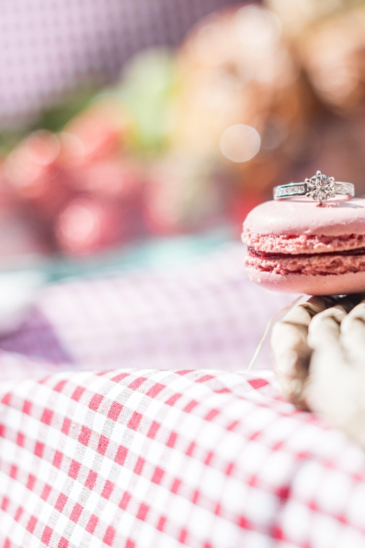 Surprise Proposal Picnic - Paris Proposal Planner - Booking Details