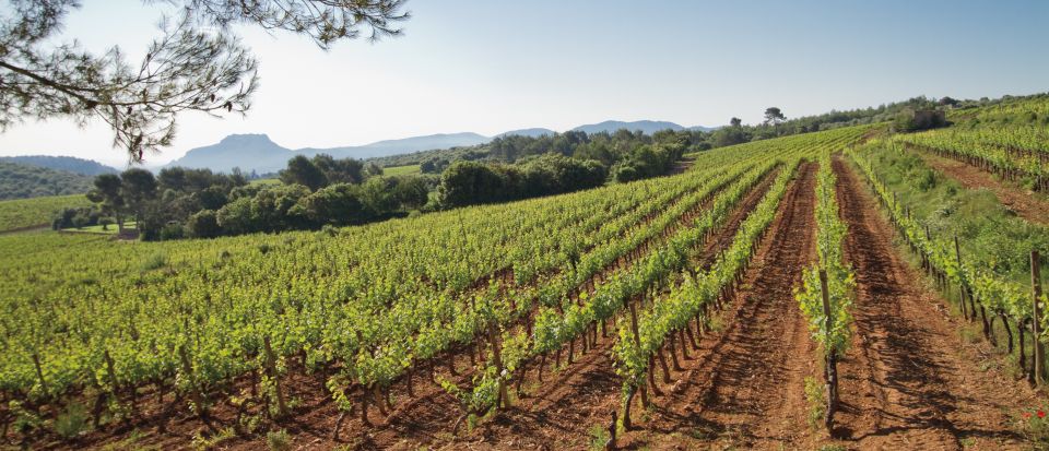 Provence Wine Tour - Private Tour From Nice - Languages and Inclusions