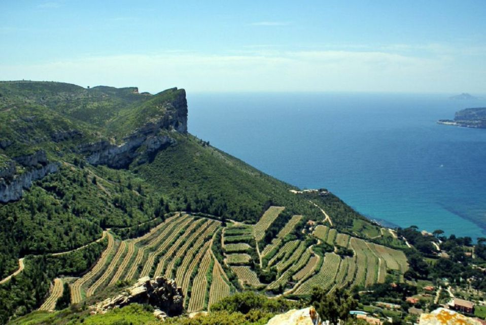 From Marseille: Bandol/Cassis Wine Tour With Viewpoint - Activity Highlights