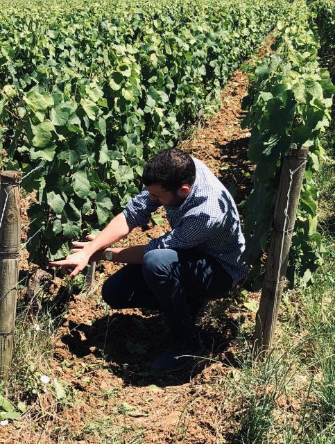 Côte De Beaune and Côte De Nuits : Private Full Day Winetour - Frequently Asked Questions