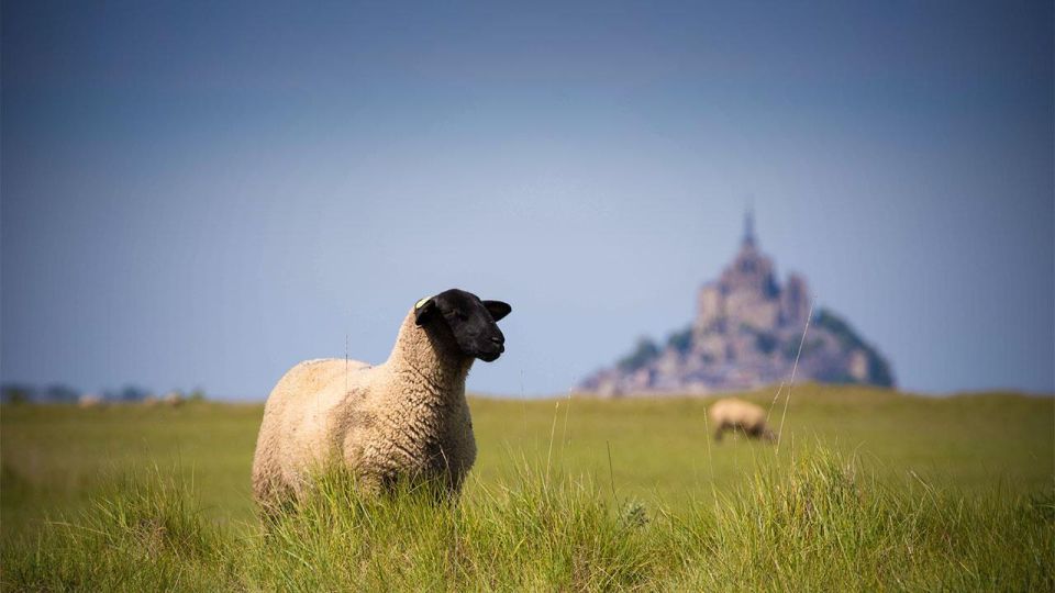 Paris: Private Excursion Paris - Mont Saint Michel - Meeting Point and Contact Details