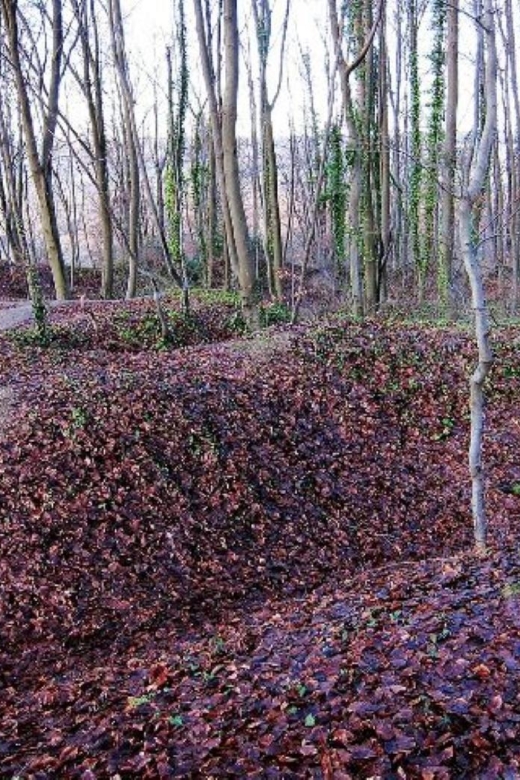 The Battle of the Chemin Des Dames, Departure From Laon - Activity Highlights