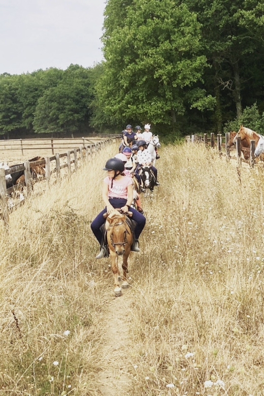 Paris : Horse Riding Camp With English Lessons in Senonches - Activity Details