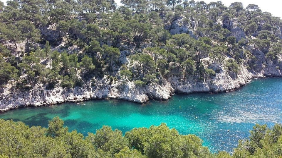 Marseille: Day Boat Ride in the Calanques With Wine Tasting - Highlights of the Tour