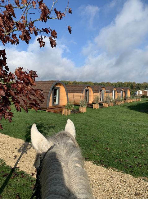 Paris : Horse Riding Camp With English Lessons in Senonches - Key Points