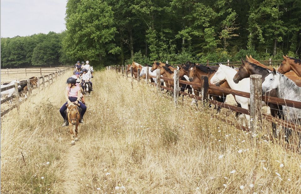 Paris : Horse Riding Camp With English Lessons in Senonches - Pricing and Duration