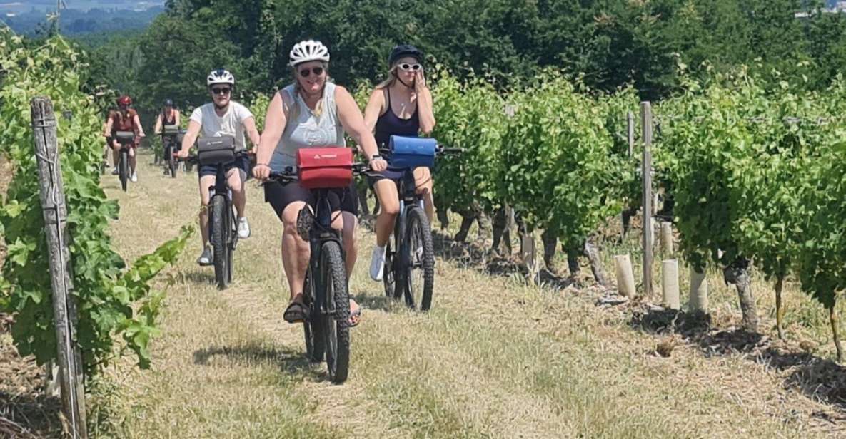 Loire Valley Chateau: 2-Day Cycling Tour With Wine Tasting - Activity Description