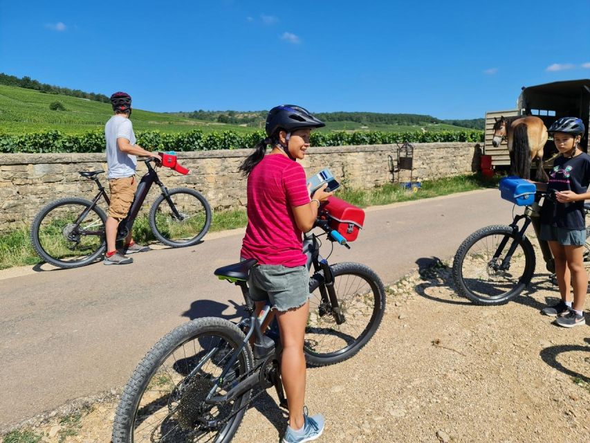 Burgundy: Fantastic 2-Day Cycling Tour With Wine Tasting - Wine Tasting Experiences