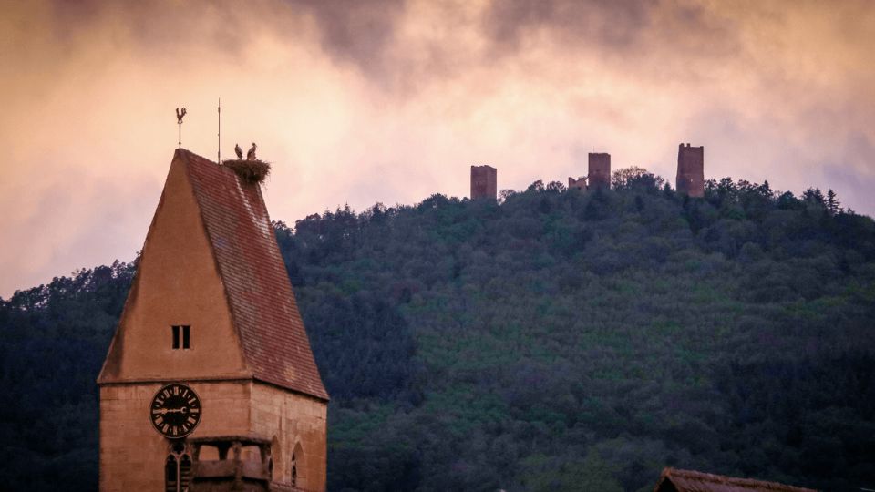 From Strasbourg: Discover Colmar and the Alsace Wine Route - Recap