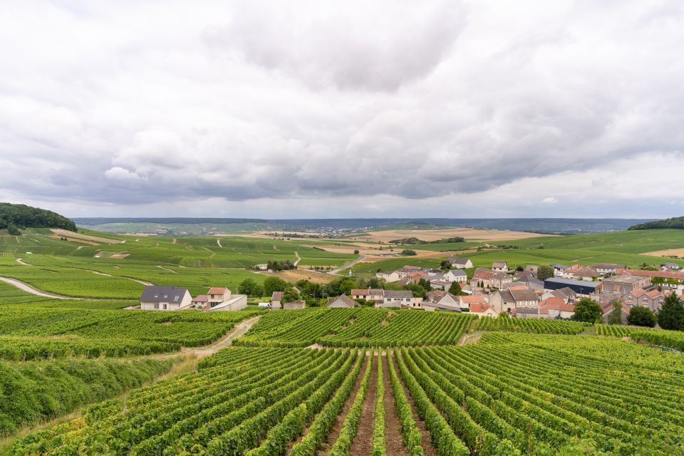 From Paris: Day Trip to Champagne With 8 Tastings & Lunch - Customer Reviews