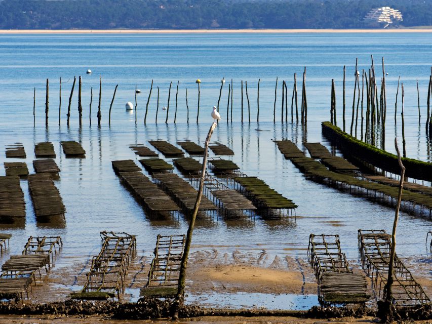 From Bordeaux: Arcachon and Pilat Dune Private Tour - Directions