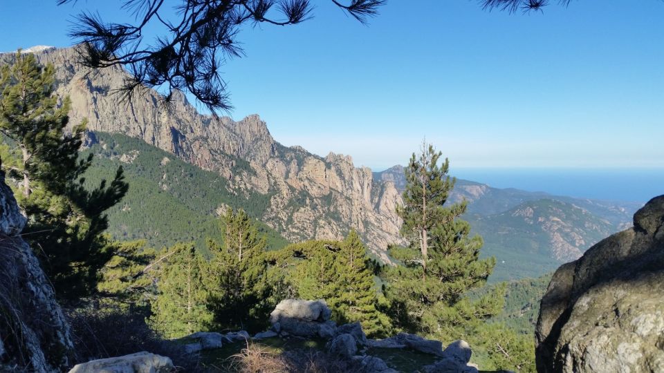 From Porto Vecchio: Corsica Mountain Tour - Important Information