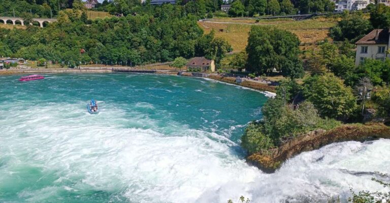 From Zurich: Rhine Falls & Stein Am Rhein Private Tour